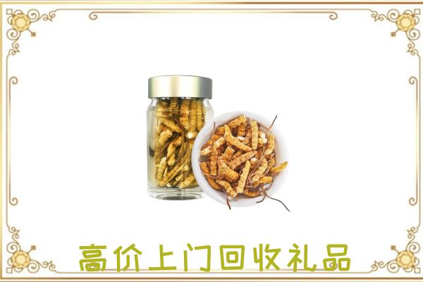 云浮周边回收虫草